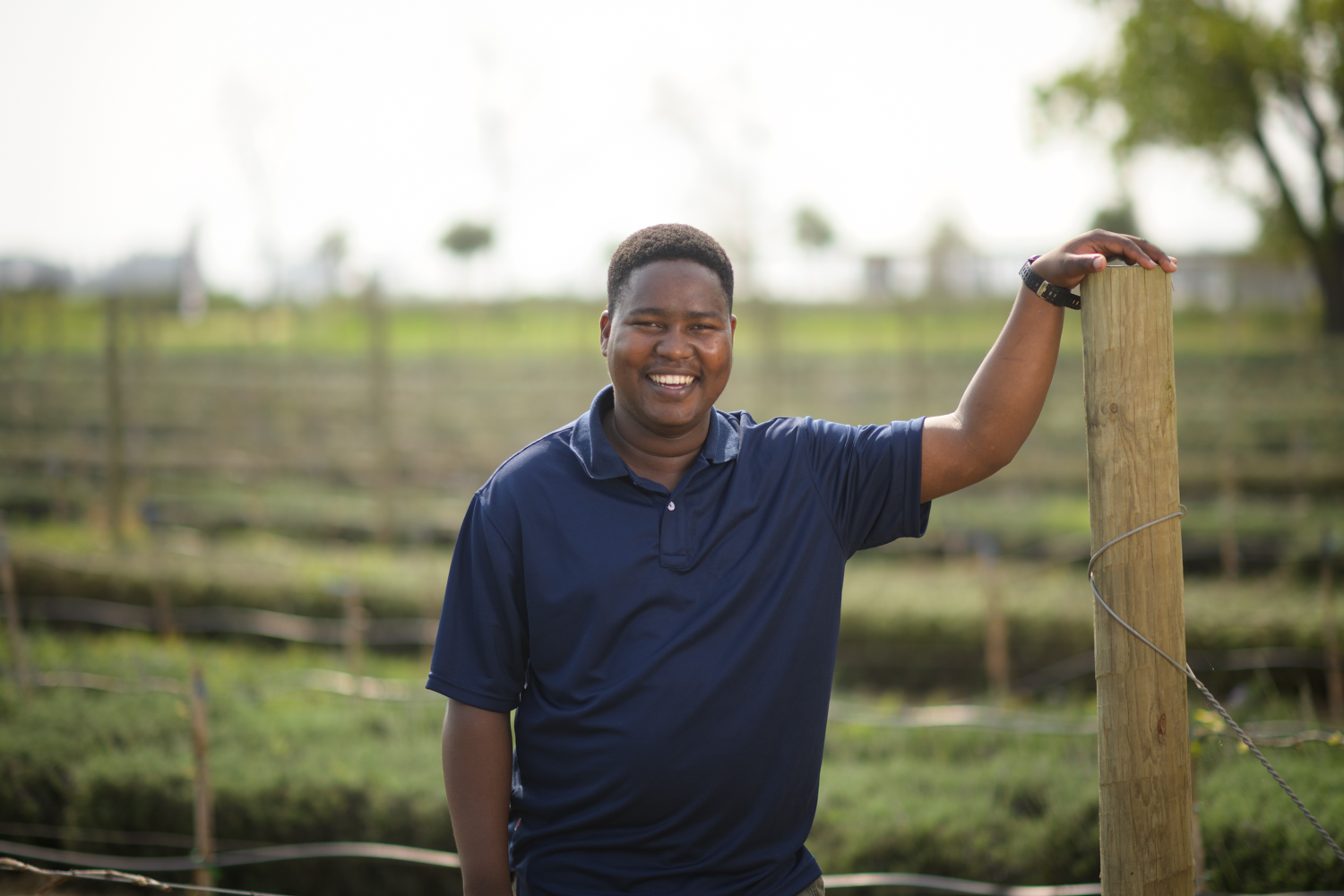 From An Ocean Breeze To Regeneratively Farmed Vines. Redefining Terroir At Vergenoegd Löw
